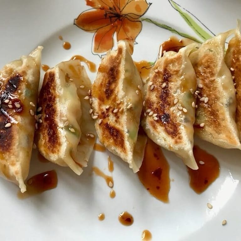 Savor Our Gyoza